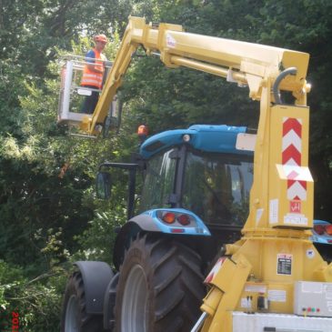 Plantations de haies, arbres : que dit la loi !!